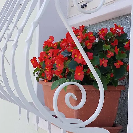 Nonna Anita Palace 호텔